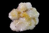 Cactus Quartz (Amethyst) Crystal Cluster - South Africa #137780-1
